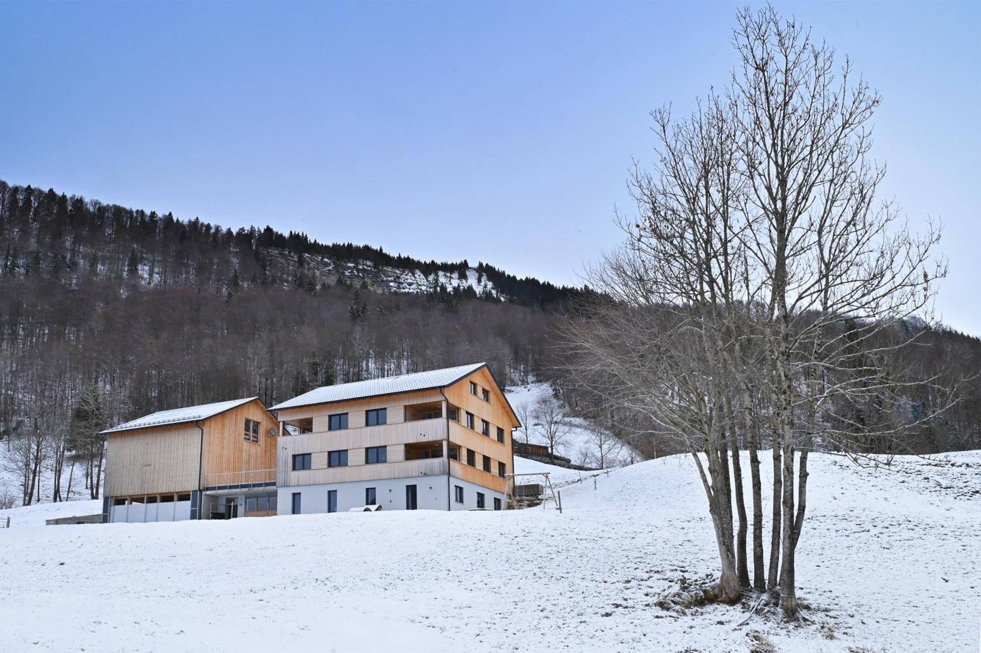 Panoramahof Bergglueck Lejlighed Mellau Eksteriør billede