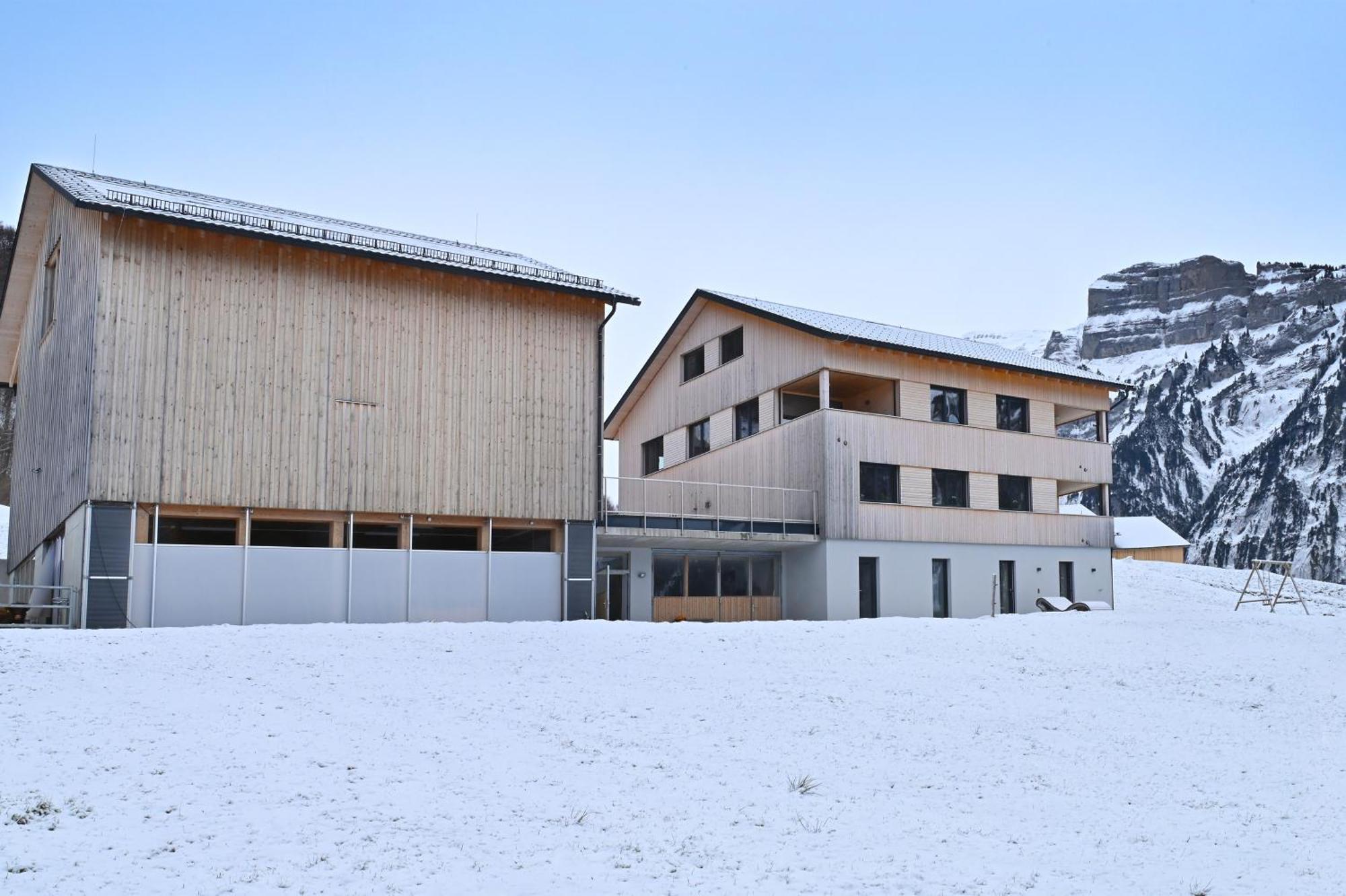 Panoramahof Bergglueck Lejlighed Mellau Eksteriør billede